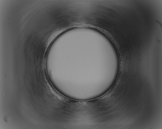 X0000103261231200809261131