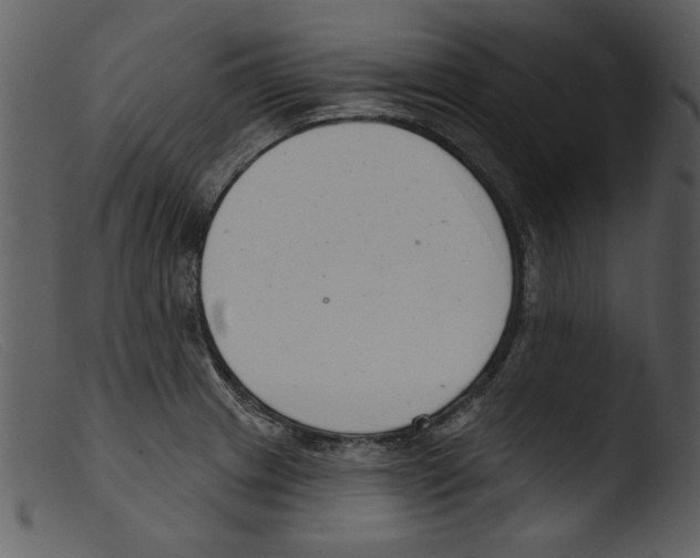 X0000103261233200809261131