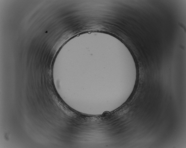 X0000103261234200809261131