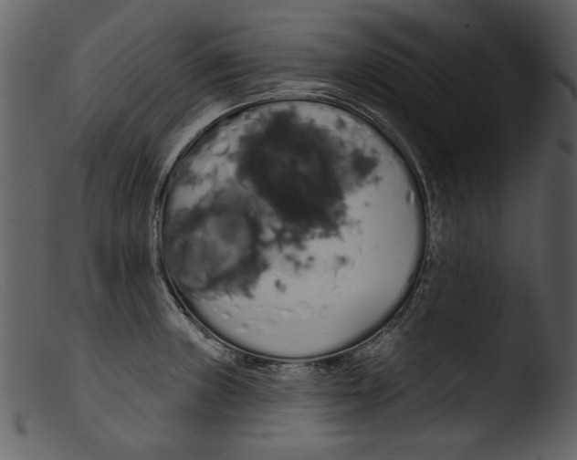 X0000103261235200809261131