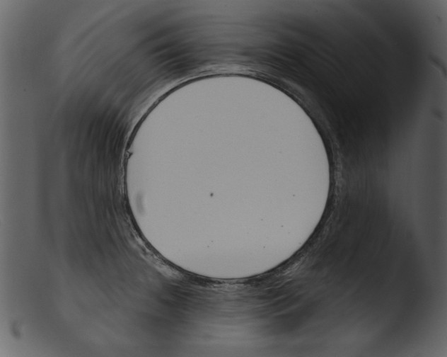 X0000103261236200809261131