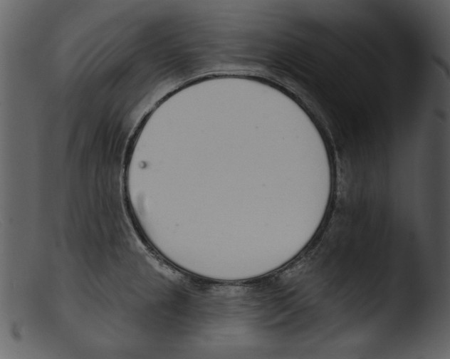 X0000103261237200809261131