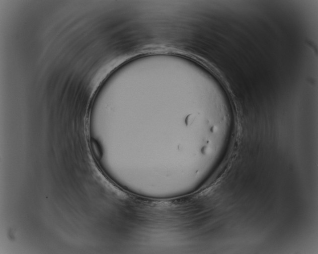 X0000103261239200809261131