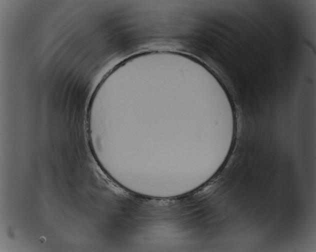 X0000103261240200809261131