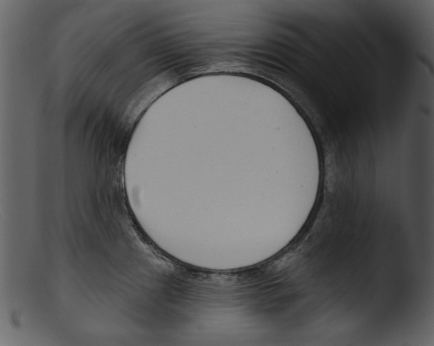 X0000103261241200809261131