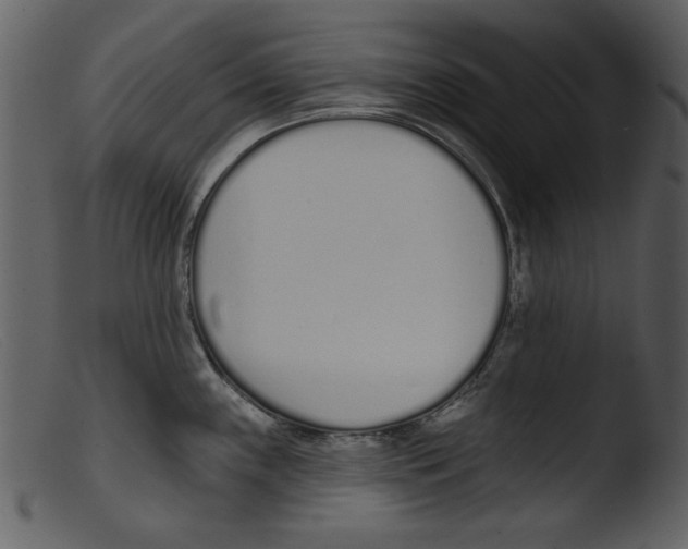 X0000103261243200809261131