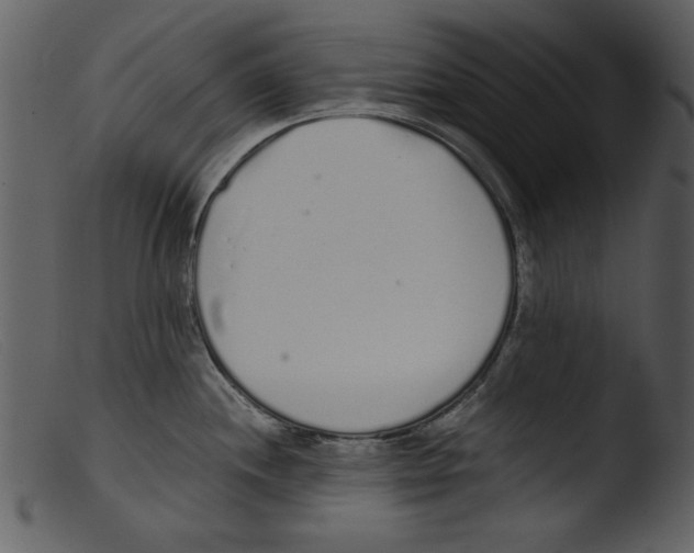 X0000103261244200809261131