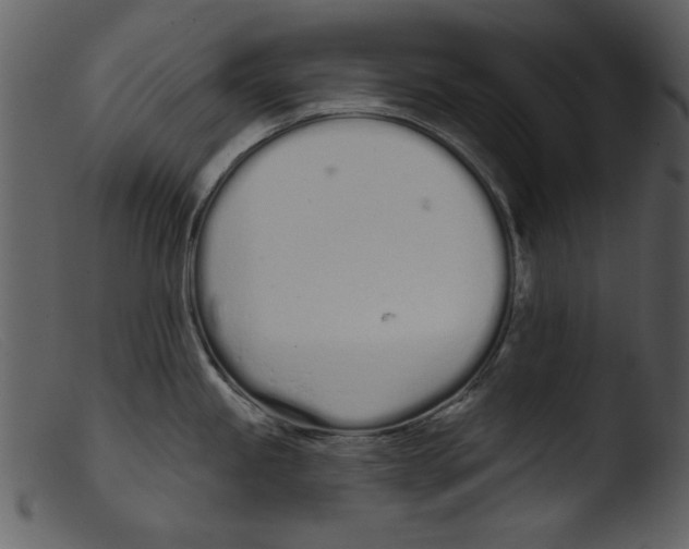 X0000103261245200809261131