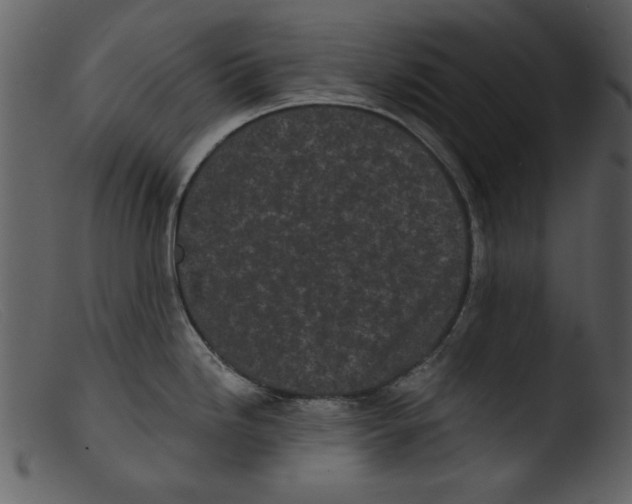 X0000103261246200809261131