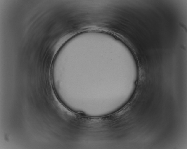 X0000103261247200809261131