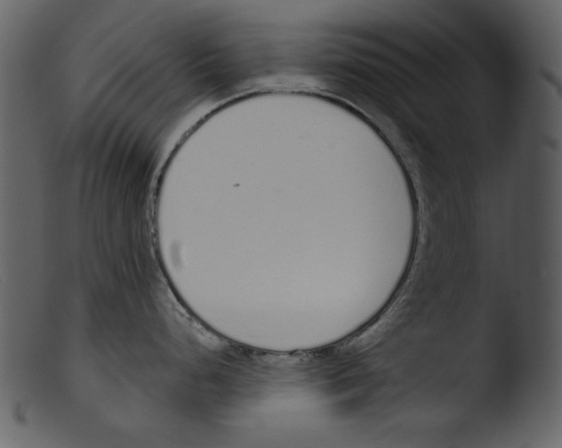 X0000103261248200809261131