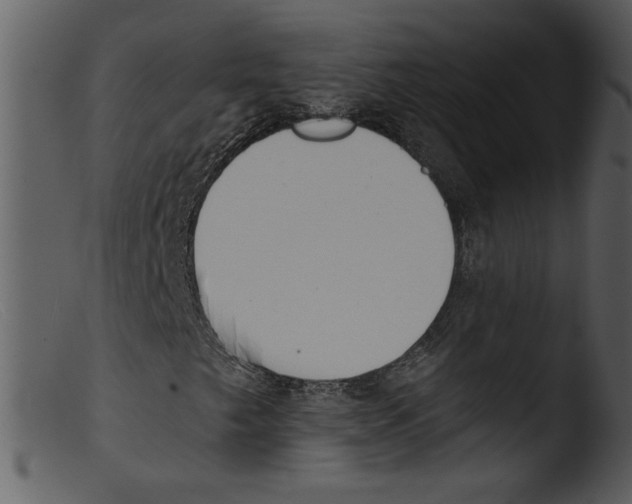 X0000103261249200809261130