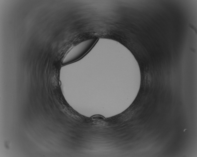 X0000103261250200809261130