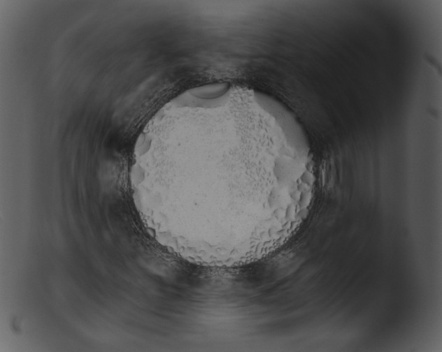 X0000103261251200809261130