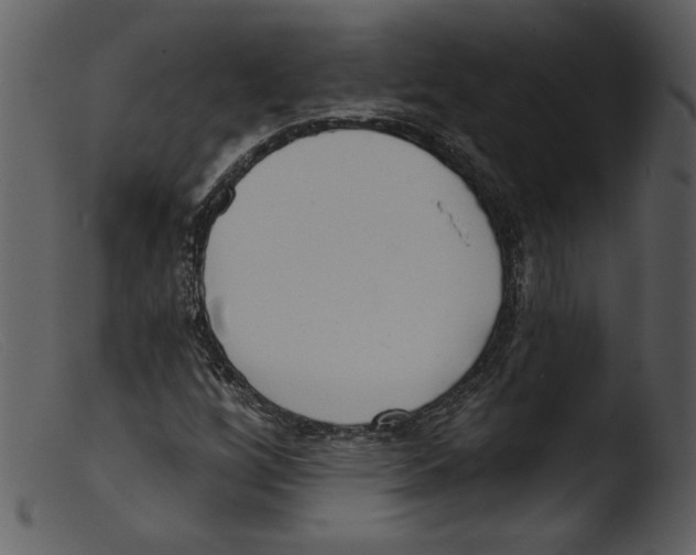 X0000103261256200809261130