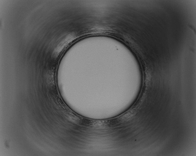 X0000103261259200809261130