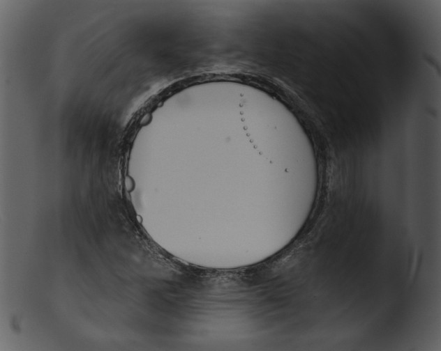 X0000103261262200809261130