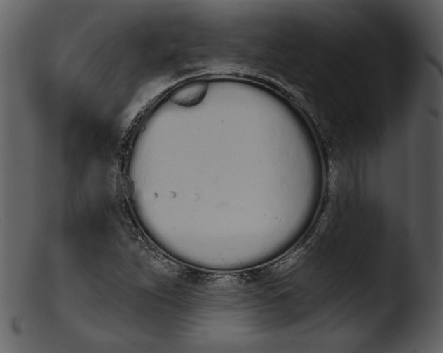 X0000103261263200809261130