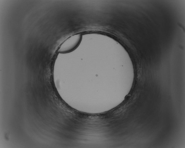 X0000103261264200809261130