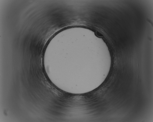 X0000103261268200809261130