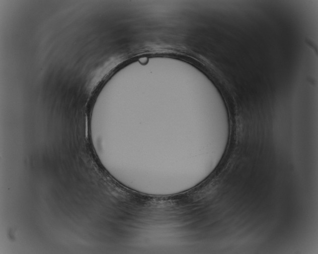 X0000103261269200809261130