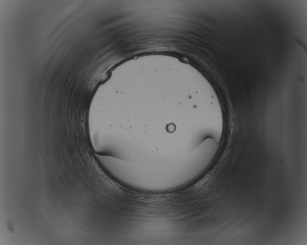 X0000103261273200809261130