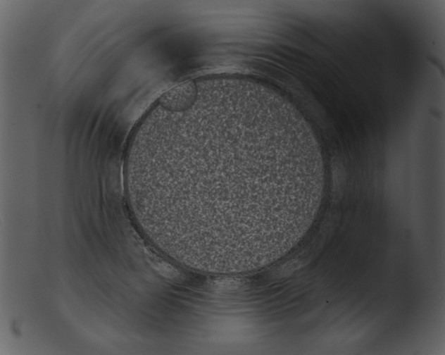 X0000103261274200809261130