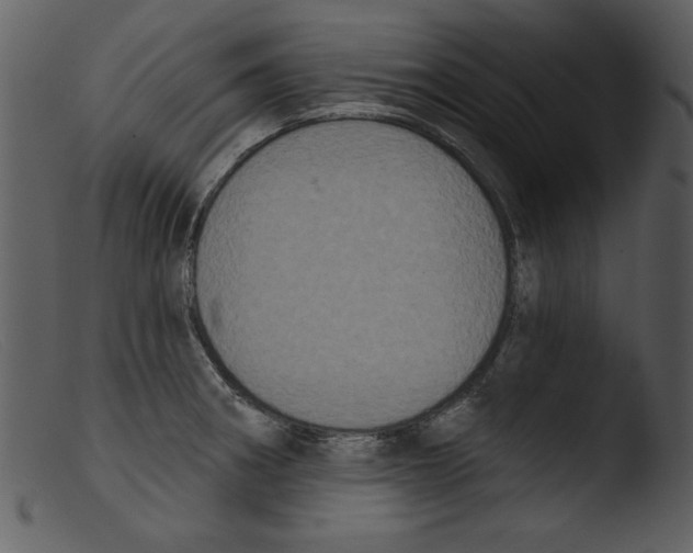 X0000103261282200809261130