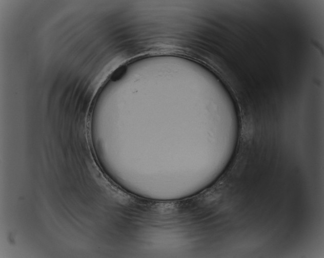 X0000103261283200809261130