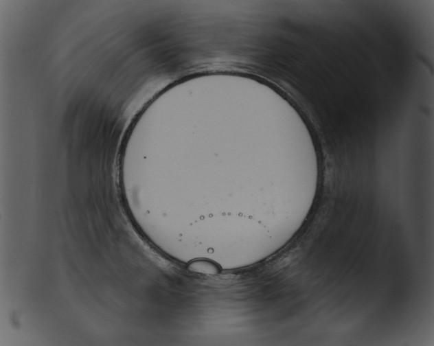 X0000103261285200809261130