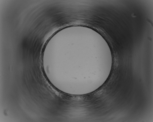 X0000103261286200809261130