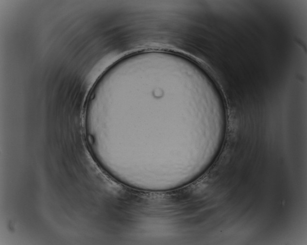 X0000103261287200809261130