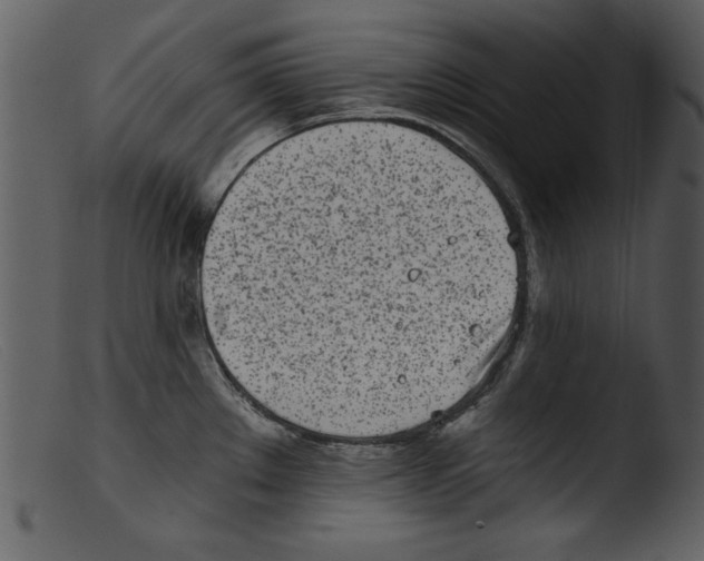 X0000103261289200809261130