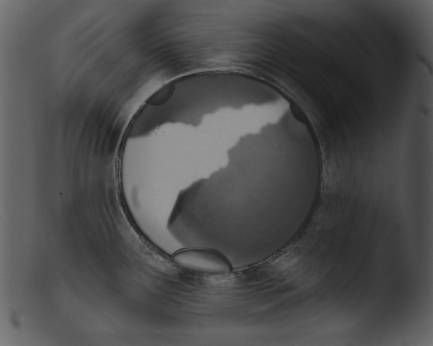 X0000103261291200809261130