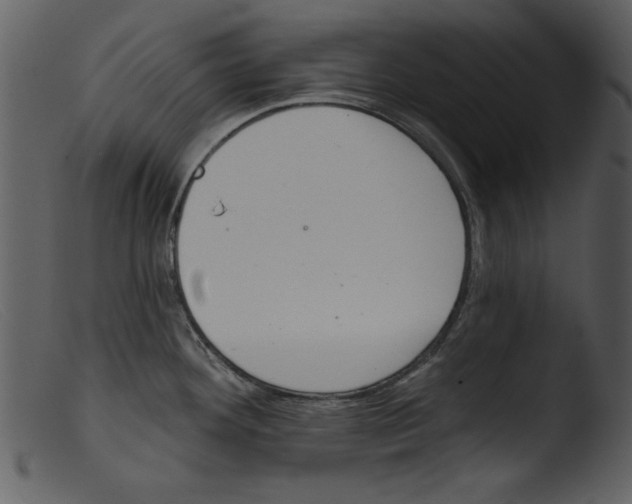 X0000103261292200809261130