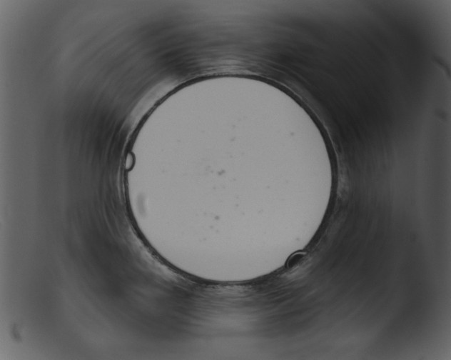 X0000103261293200809261130