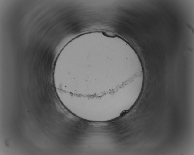 X0000103261296200809261130