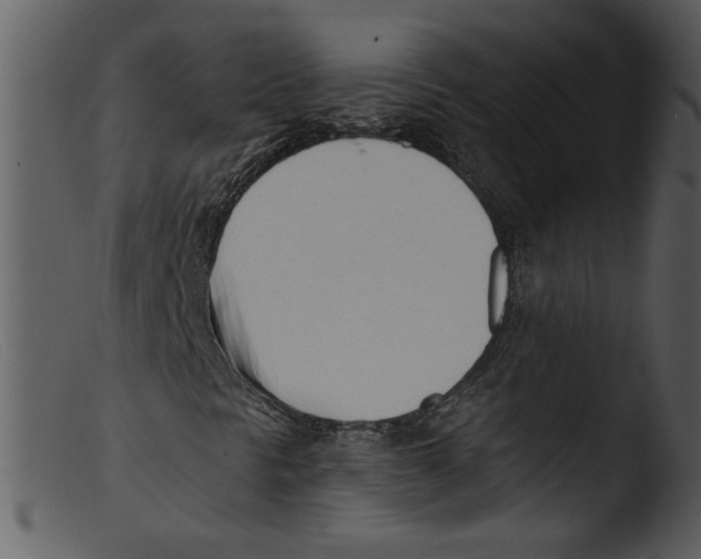 X0000103261297200809261129