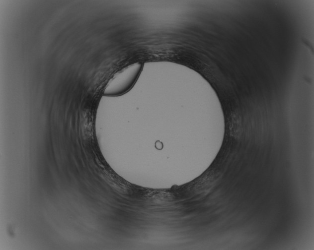 X0000103261298200809261129