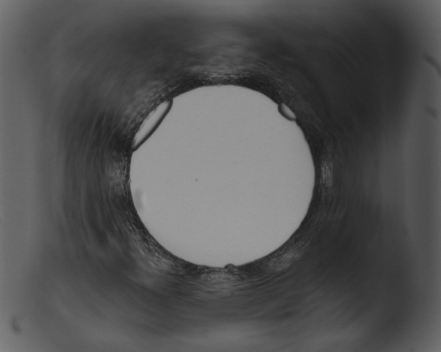 X0000103261300200809261129