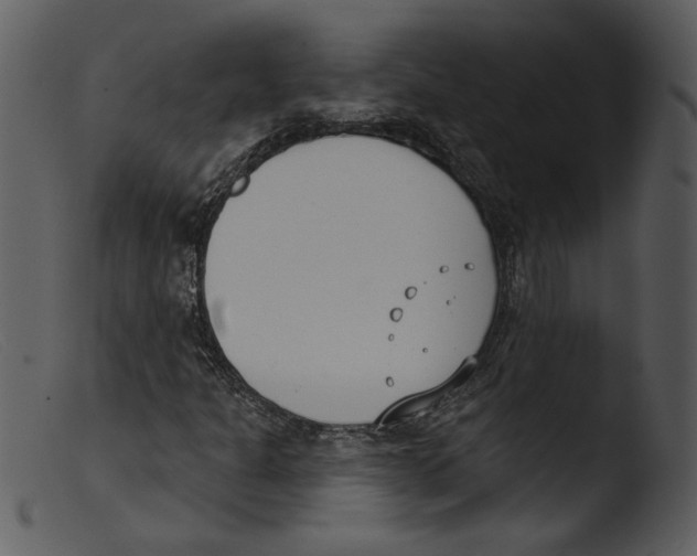 X0000103261301200809261129