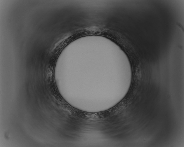 X0000103261302200809261129