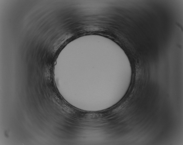 X0000103261305200809261129