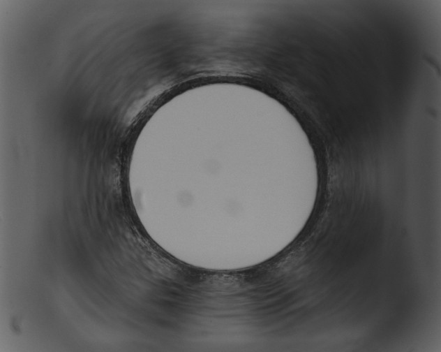 X0000103261307200809261129