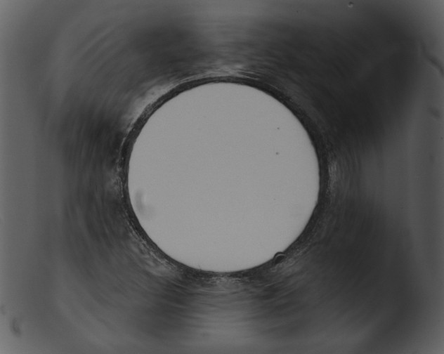 X0000103261308200809261129