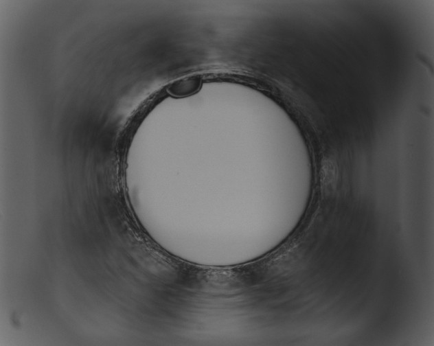 X0000103261310200809261129