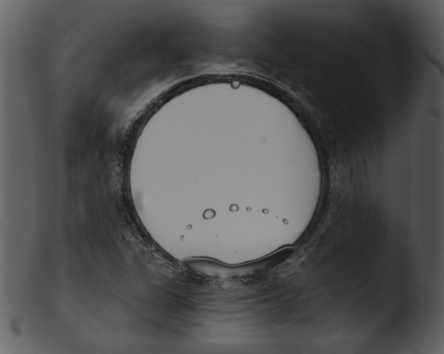 X0000103261311200809261129