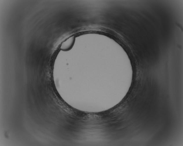 X0000103261312200809261129