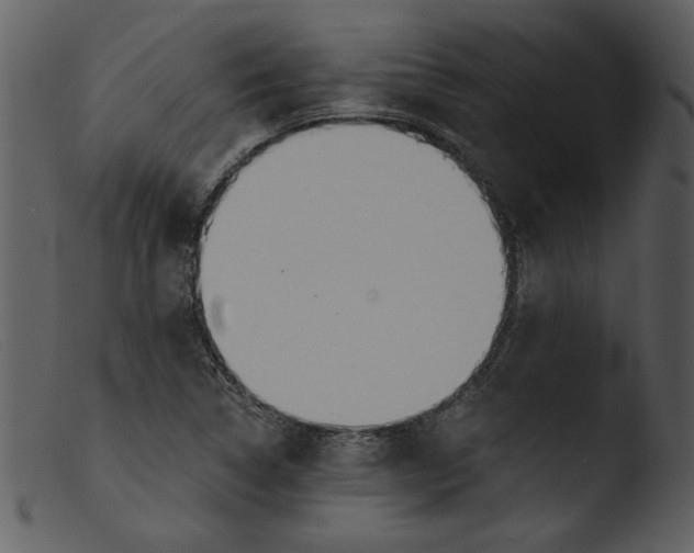 X0000103261314200809261129