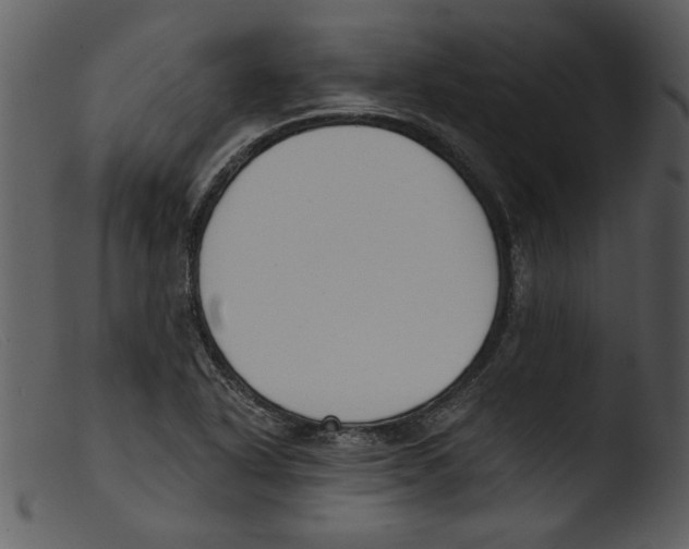 X0000103261318200809261129